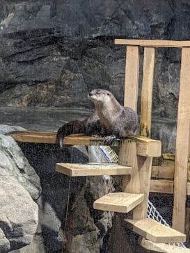 アクアワールド茨城県大洗水族館に投稿された画像（2023/2/10）