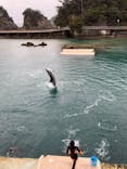 下田海中水族館に投稿された画像（2023/2/10）
