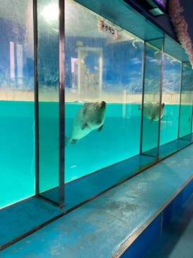 下田海中水族館に投稿された画像（2023/2/10）