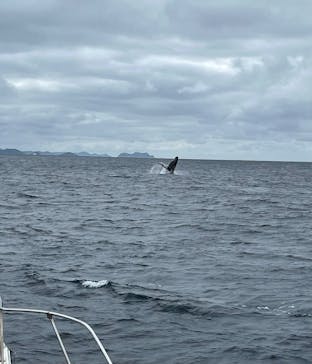 South to South（サウス トゥ サウス）に投稿された画像（2023/2/10）