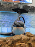 名古屋港水族館に投稿された画像（2023/2/10）
