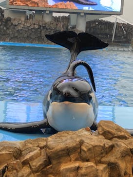 名古屋港水族館に投稿された画像（2023/2/10）