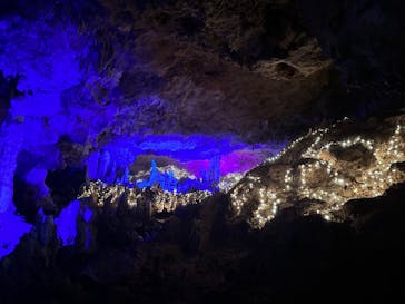 石垣島鍾乳洞に投稿された画像（2023/2/10）