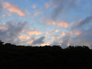 石垣島 ADVENTURE PiPi（イシガキジマアドベンチャーピピ）に投稿された画像（2023/2/10）