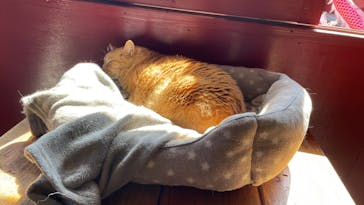 体験王国 むら咲むらに投稿された画像（2023/2/11）