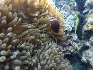 武藤潜水に投稿された画像（2023/2/11）