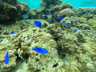 武藤潜水に投稿された画像（2023/2/11）