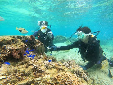 沖縄マリンサービス碧に投稿された画像（2023/2/11）