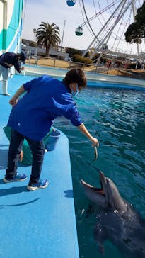 南知多ビーチランド＆南知多おもちゃ王国に投稿された画像（2023/2/11）