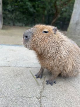 長崎バイオパークに投稿された画像（2023/2/11）