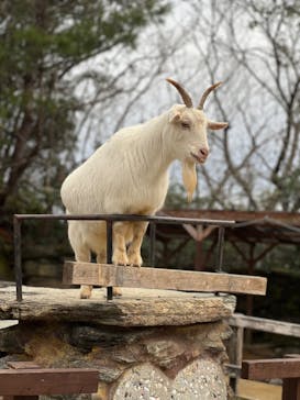 長崎バイオパークに投稿された画像（2023/2/11）