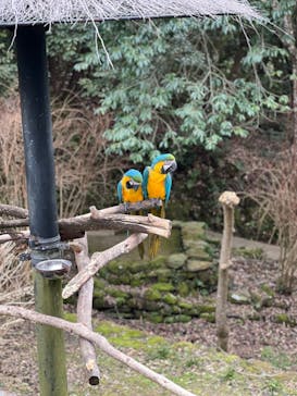 長崎バイオパークに投稿された画像（2023/2/11）