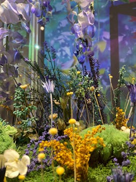 NAKED FLOWERS FOR YOU（ネイキッドフラワーズフォーユー）に投稿された画像（2023/2/11）