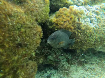 武藤潜水に投稿された画像（2023/2/11）