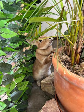 しろとり動物園に投稿された画像（2023/2/11）