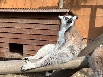 しろとり動物園に投稿された画像（2023/2/11）