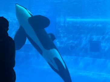 名古屋港水族館に投稿された画像（2023/2/11）