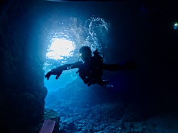 DIVING-SHOP SUNSに投稿された画像（2023/2/11）