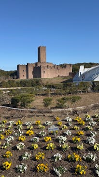 志摩スペイン村パルケエスパーニャに投稿された画像（2023/2/11）