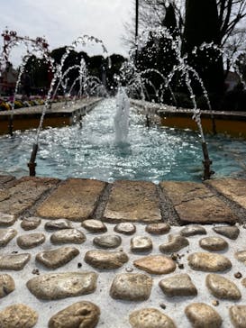 志摩スペイン村パルケエスパーニャに投稿された画像（2023/2/11）