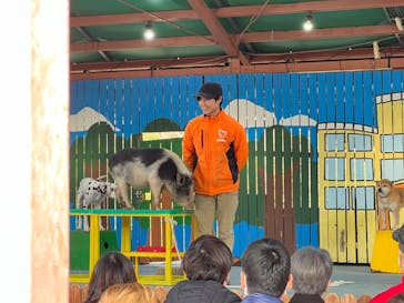 しろとり動物園に投稿された画像（2023/2/11）