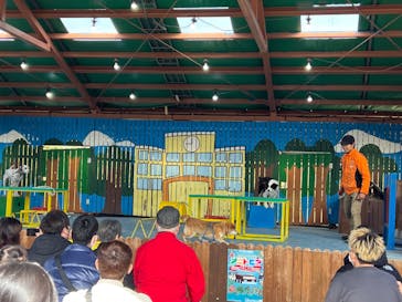 しろとり動物園に投稿された画像（2023/2/11）