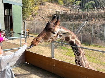 しろとり動物園に投稿された画像（2023/2/11）