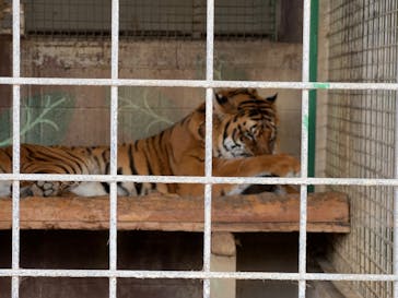 しろとり動物園に投稿された画像（2023/2/11）