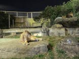 東武動物公園に投稿された画像（2023/2/11）