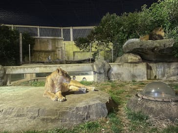 東武動物公園に投稿された画像（2023/2/11）