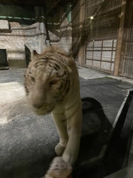 東武動物公園に投稿された画像（2023/2/11）