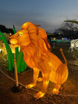 東武動物公園に投稿された画像（2023/2/11）