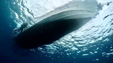 DIVING-SHOP SUNSに投稿された画像（2023/2/11）