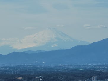 横浜ランドマークタワー 69階展望フロア スカイガーデンに投稿された画像（2023/2/11）