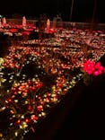 大阪府立花の文化園に投稿された画像（2023/2/11）