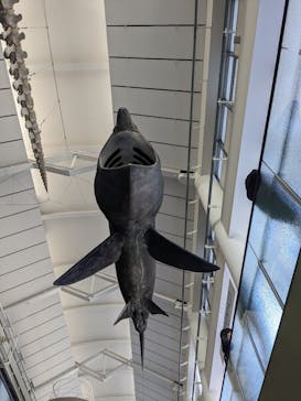 アクアワールド茨城県大洗水族館に投稿された画像（2023/2/11）