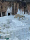 天王寺動物園に投稿された画像（2023/2/11）