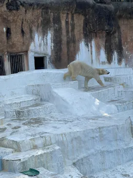 天王寺動物園に投稿された画像（2023/2/11）