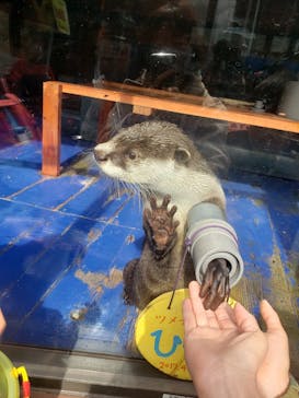 ゼロ距離水族館 伊勢シーパラダイスに投稿された画像（2023/2/11）
