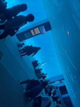 名古屋港水族館に投稿された画像（2023/2/11）