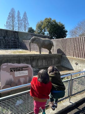 東武動物公園に投稿された画像（2023/2/11）