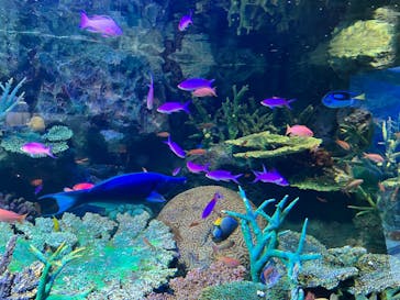 サンシャイン水族館に投稿された画像（2023/2/11）