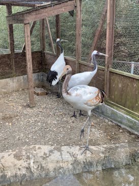 体感型動物園iZooに投稿された画像（2023/2/11）