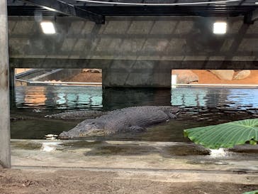 体感型動物園iZooに投稿された画像（2023/2/11）