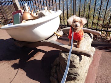 ムーミンバレーパークに投稿された画像（2023/2/11）