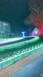 つま恋イルミネーションに投稿された画像（2023/2/11）