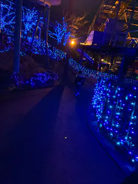 ひらかたパークに投稿された画像（2023/2/11）