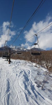 池の平温泉アルペンブリックスキー場に投稿された画像（2023/2/11）