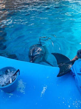 名古屋港水族館に投稿された画像（2023/2/11）