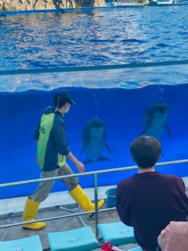 名古屋港水族館に投稿された画像（2023/2/11）